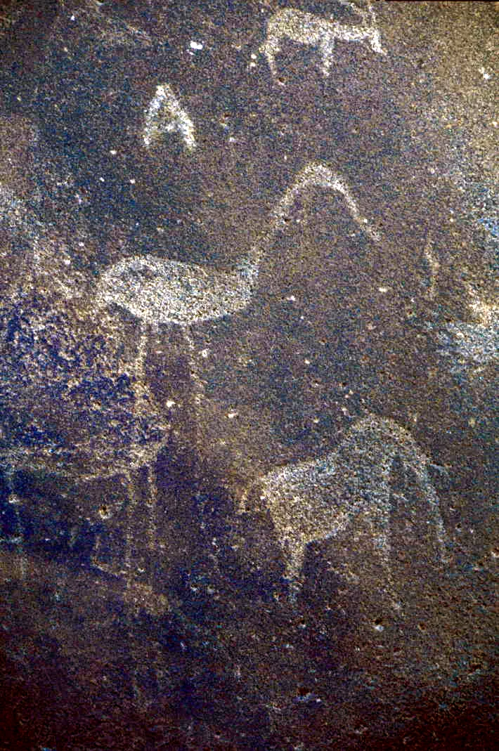 Original photography by LBM1948: Twyfelfontein (2006) 08
