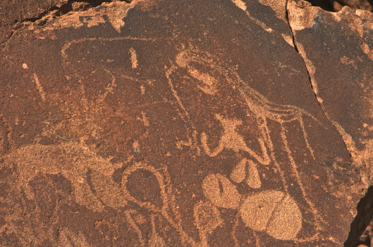 Original photography by Lidine Mia: Petroglyphes de Twyfelfontein 04