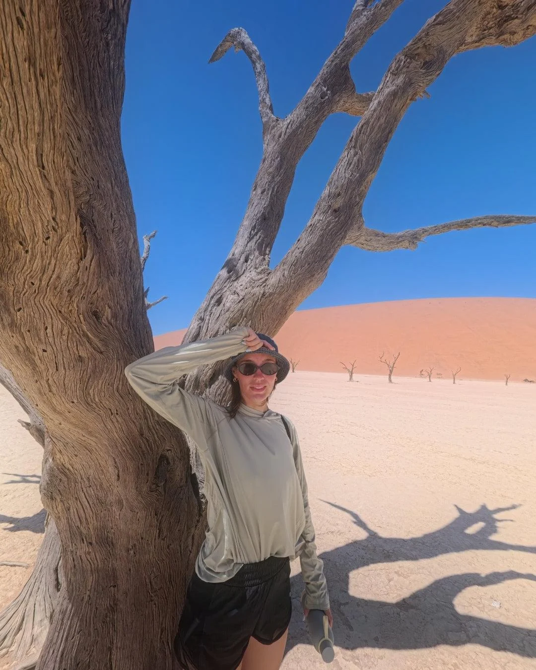 131 - REDLAND TOURS