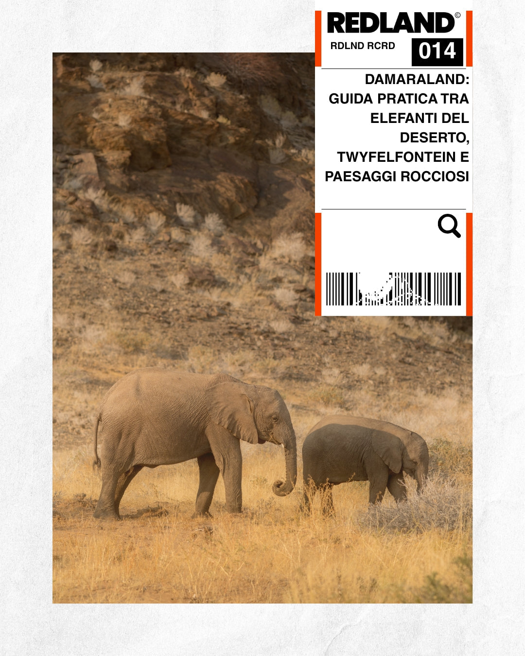 Damaraland: guida pratica tra elefanti del deserto, Twyfelfontein e paesaggi rocciosi