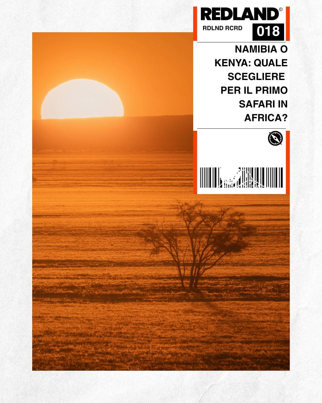 Namibia o Kenya: quale scegliere per il primo safari in Africa?