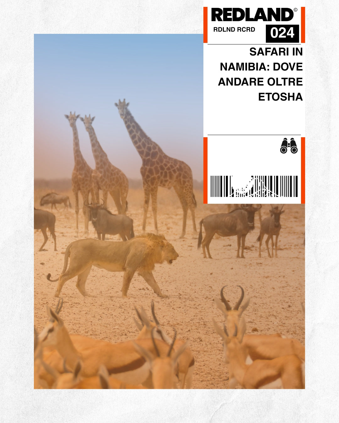 Safari in Namibia: dove andare oltre Etosha