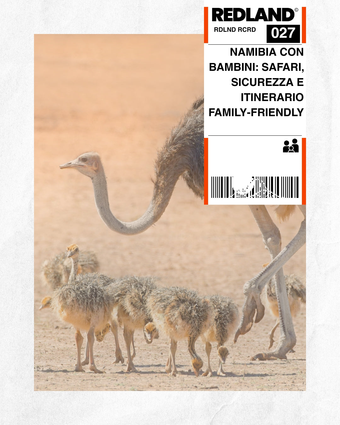 Namibia con bambini: safari, sicurezza e itinerario family-friendly