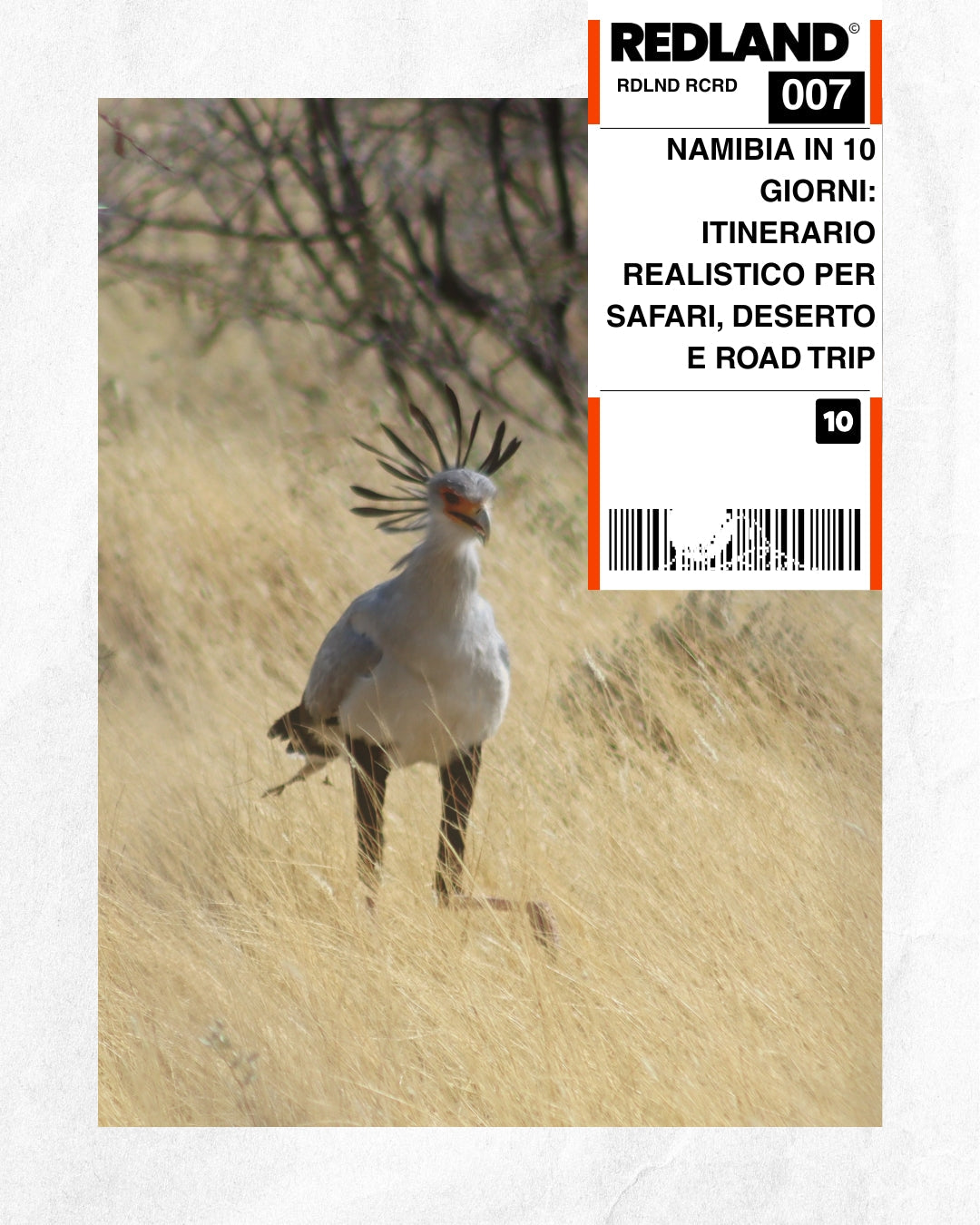 Namibia in 10 giorni: itinerario realistico per safari, deserto e road trip