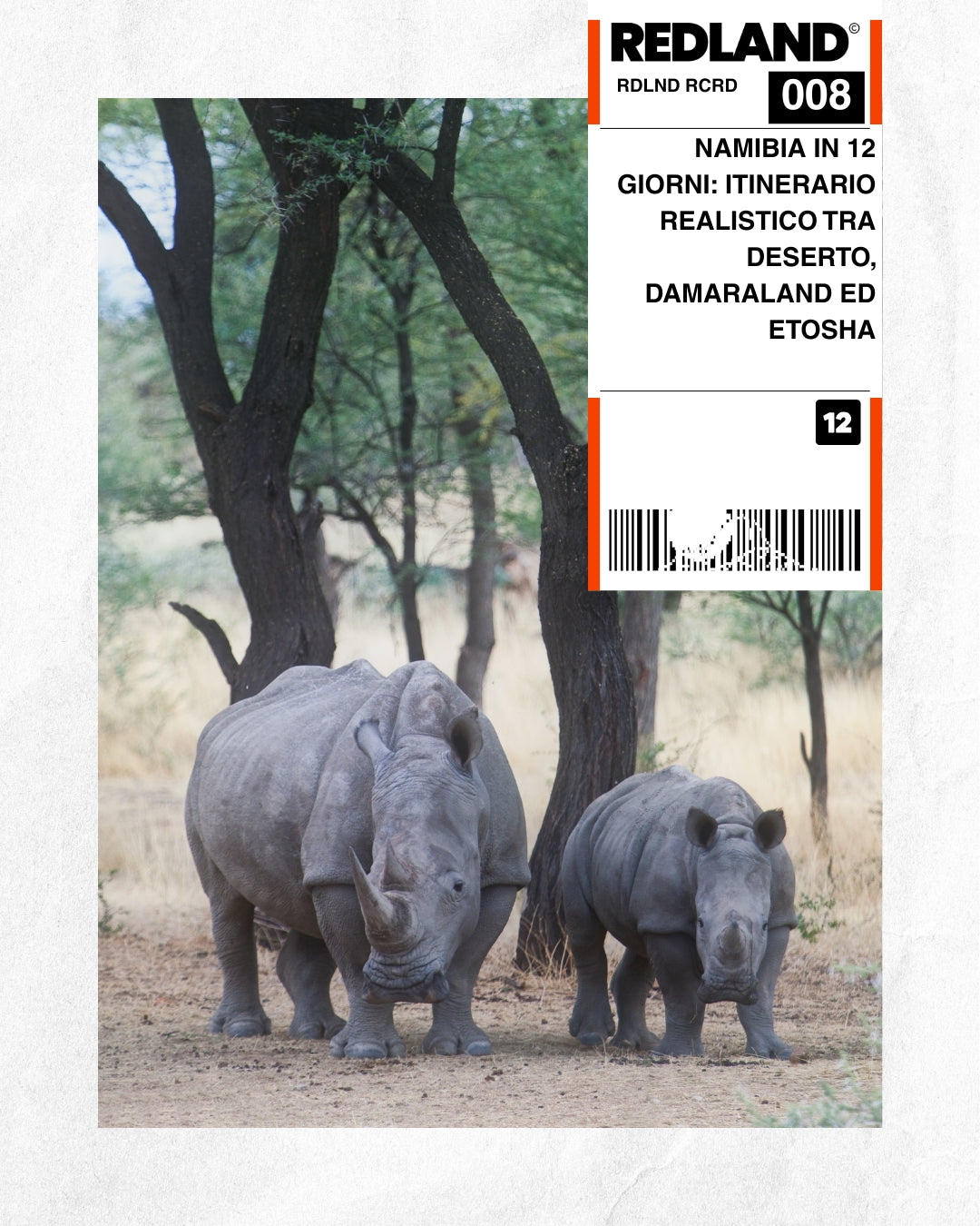 Namibia in 12 giorni: itinerario realistico tra deserto, Damaraland ed Etosha