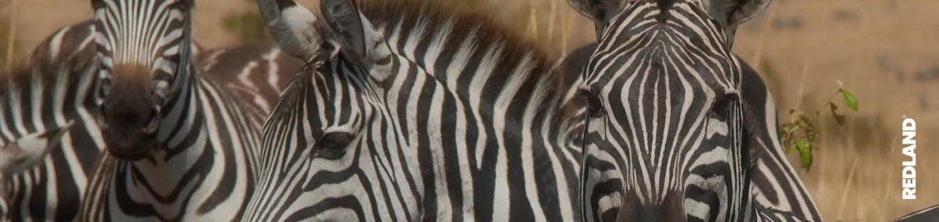 Fotografare persone e animali in Namibia: regole di rispetto e sicurezza