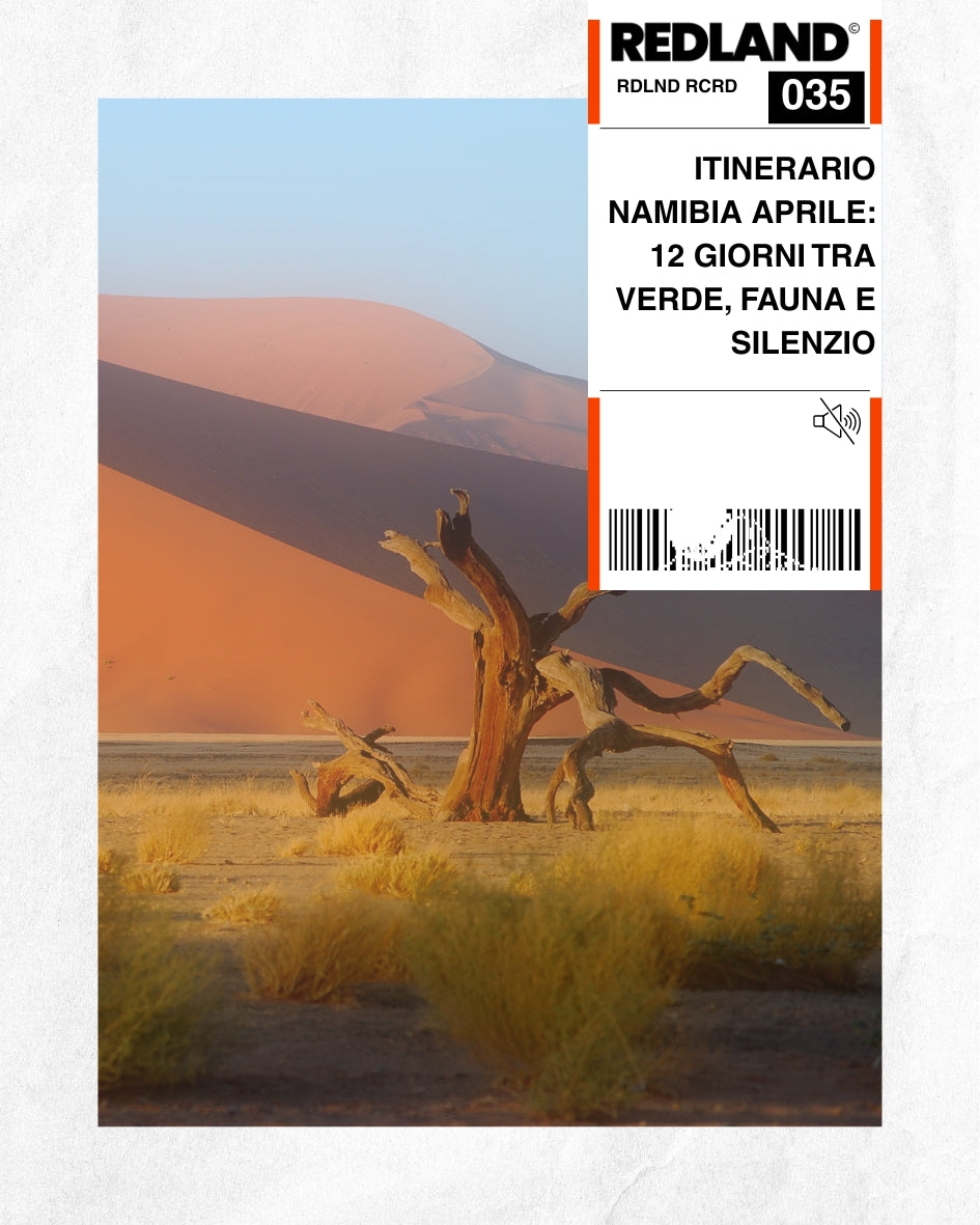 Itinerario Namibia aprile: 12 giorni tra verde, fauna e silenzio