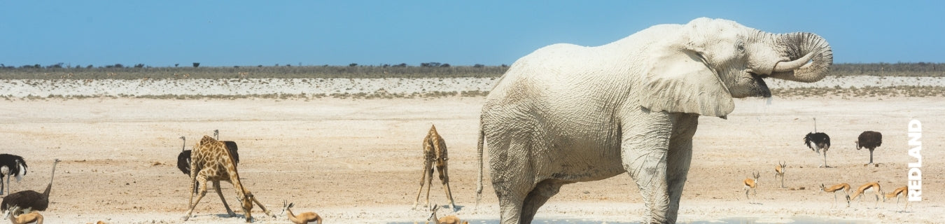 Itinerario Namibia da catalogo: 12, 14 o 16 giorni per gruppi italiani?