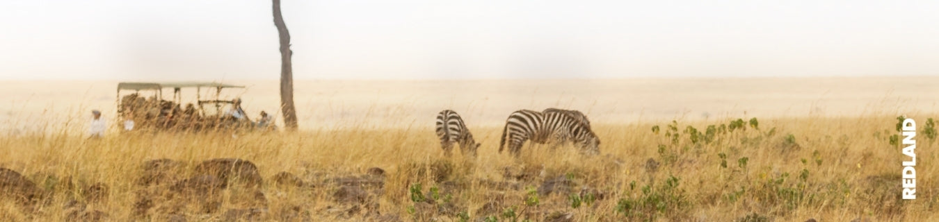Land rate Namibia: come leggere una quotazione B2B senza sorprese