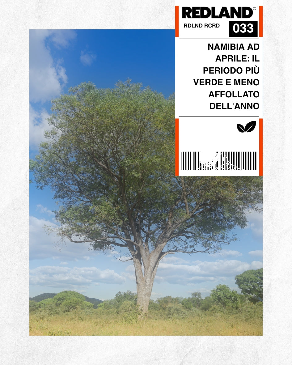 Namibia ad aprile: il periodo più verde e meno affollato dell'anno