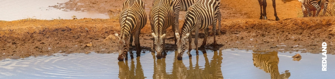 Piccoli gruppi in Namibia con accompagnamento in italiano: come funzionano davvero