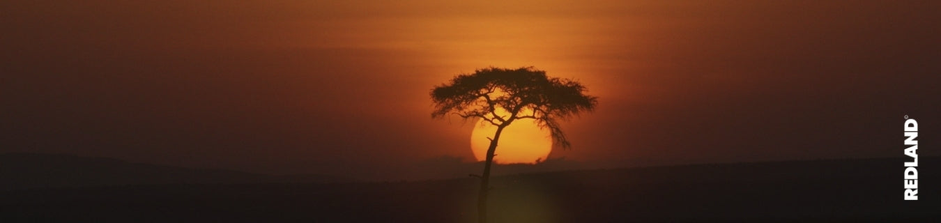 Safari a Etosha con guida in italiano: vantaggi rispetto al self-drive
