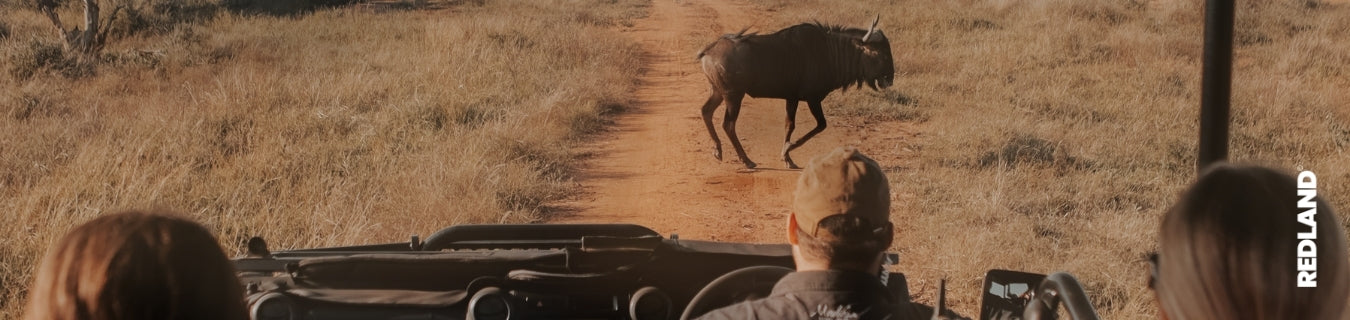 Turismo responsabile in Namibia: cosa significa davvero