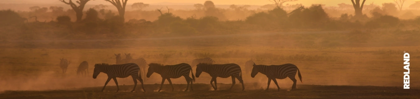 Viaggio organizzato in Namibia: cosa include davvero e cosa resta fuori