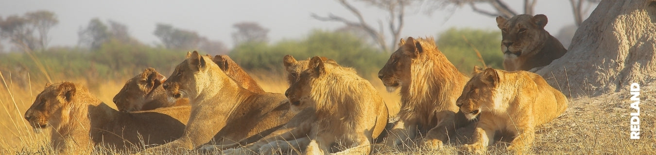 Zambezi Region in Namibia: safari, fiumi e parchi oltre il circuito classico