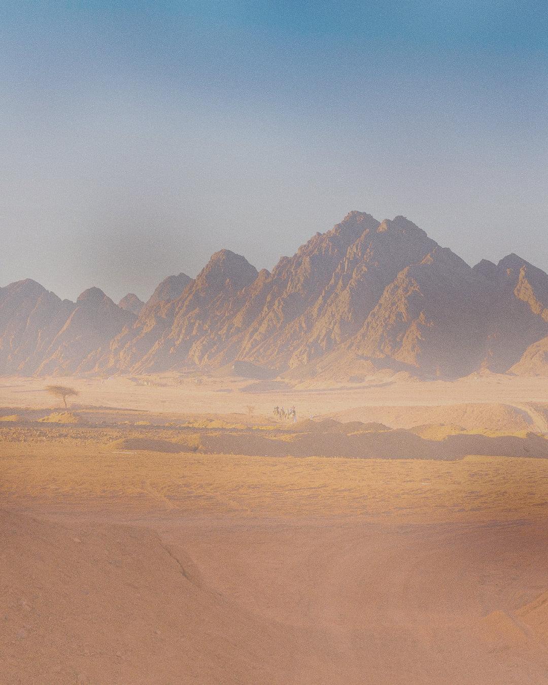 Deserto namibiano con montagne e cammelli al tramonto, tour in Namibia per italiani