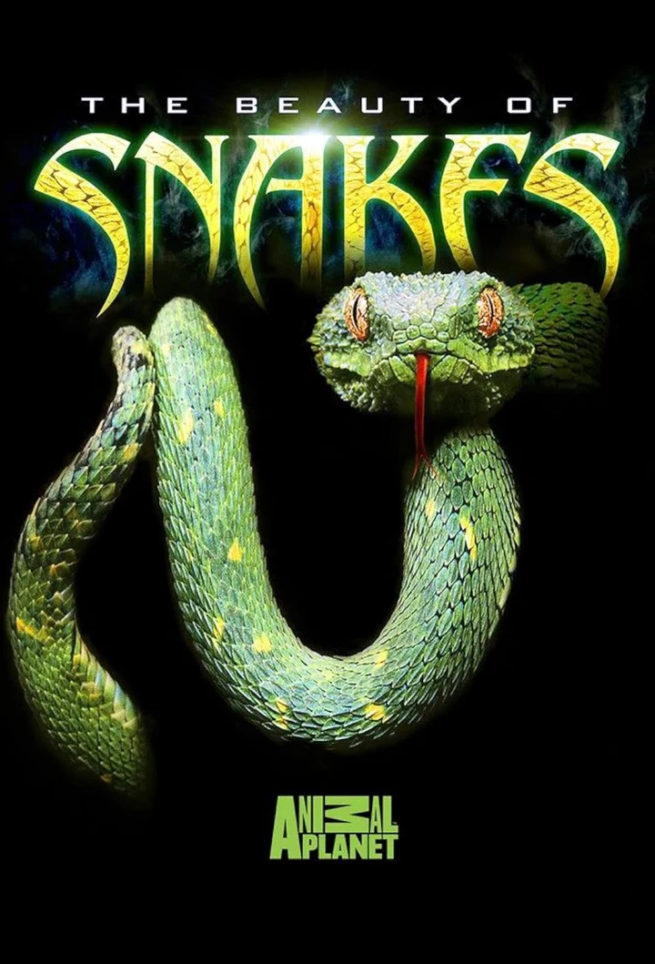 Copertina DVD: The Beauty of Snakes