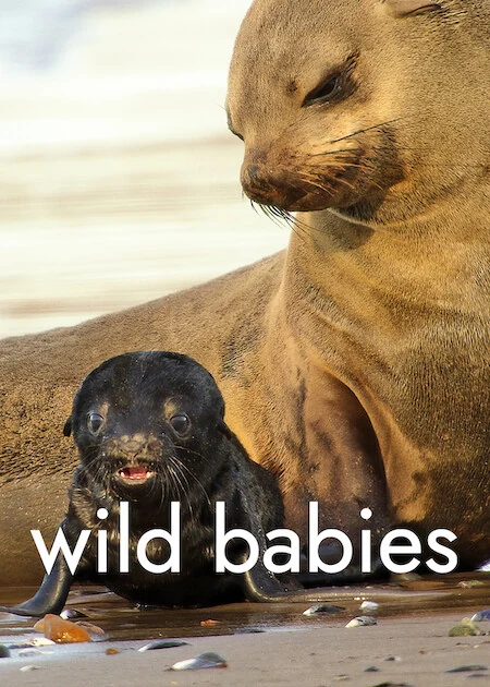 Copertina della serie: Cuccioli nella natura