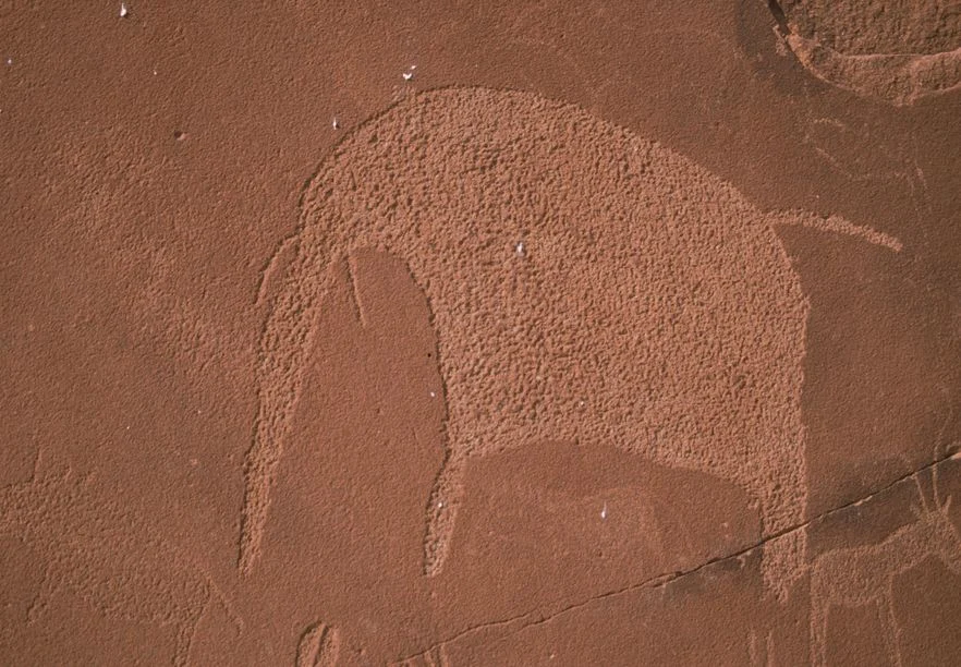 Photographie de la sculpture d'un éléphant sur le rocher de Twyfelfontein, archives de la Fondation Passaré