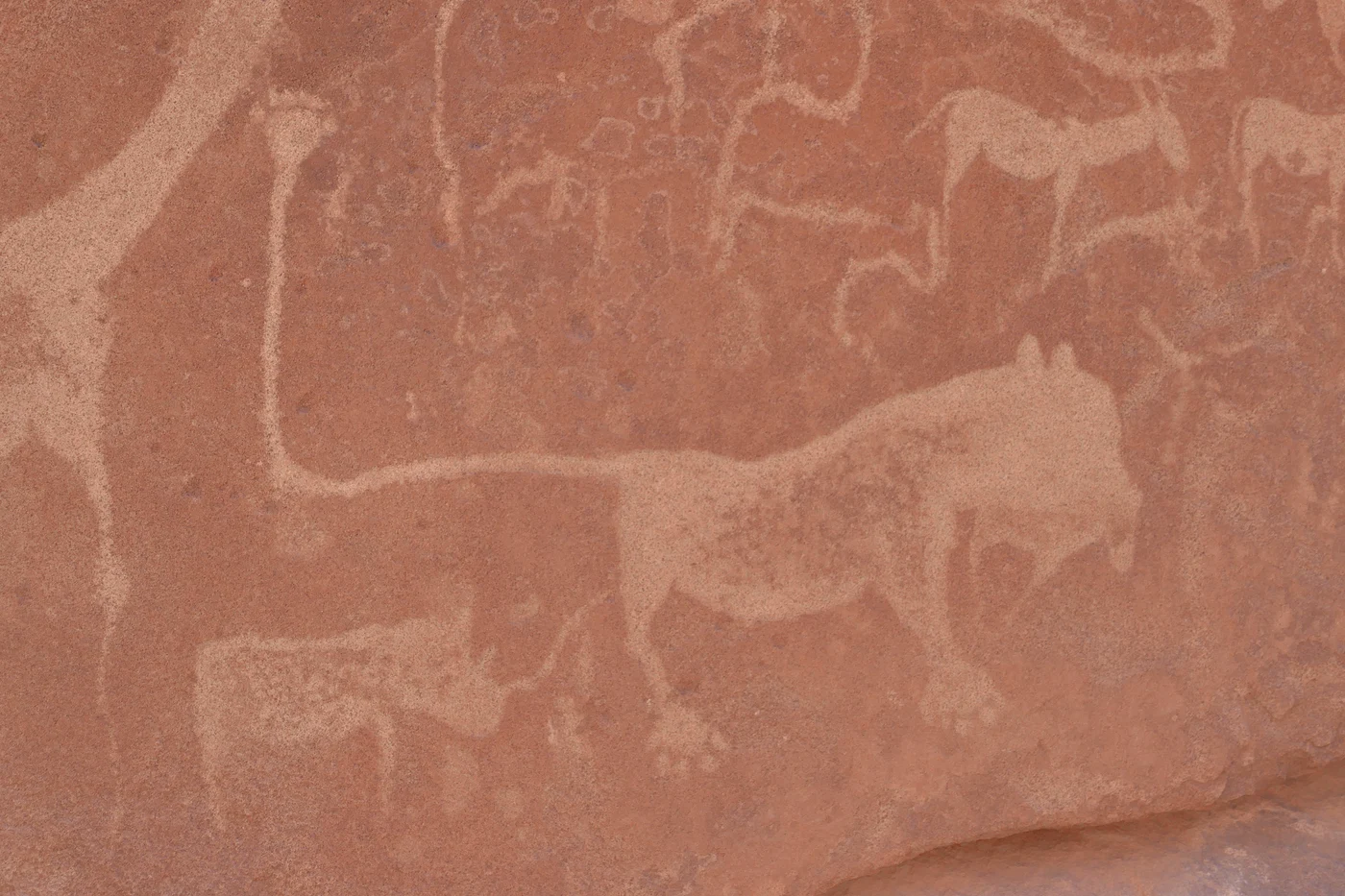 Photographie de Ji-Elle d'une gravure rupestre d'un lion à Twyfelfontein, avec d'autres personnages autour