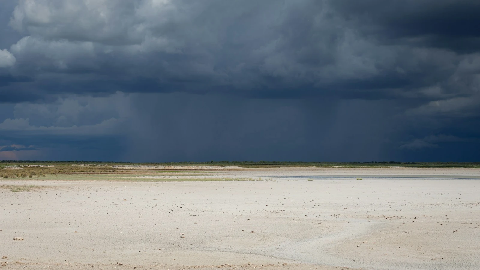 Nuvole di pioggia sul paesaggio di Etosha, Namibia