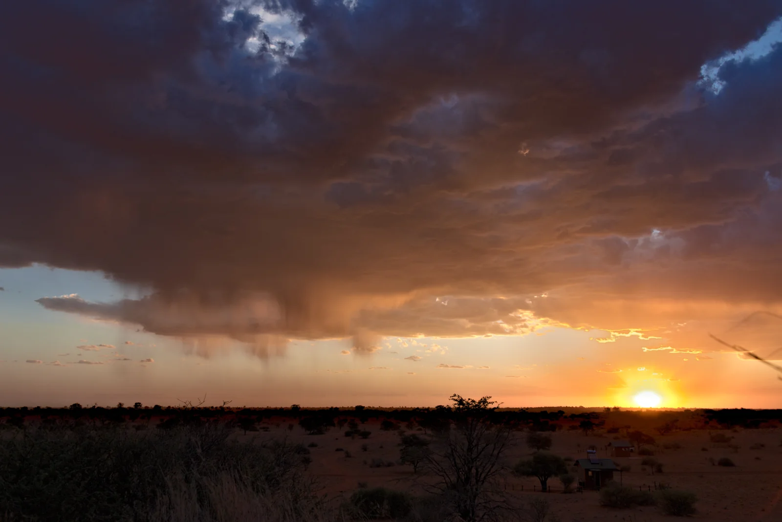 Un temporale all’orizzonte sopra il Kalahari, Namibia