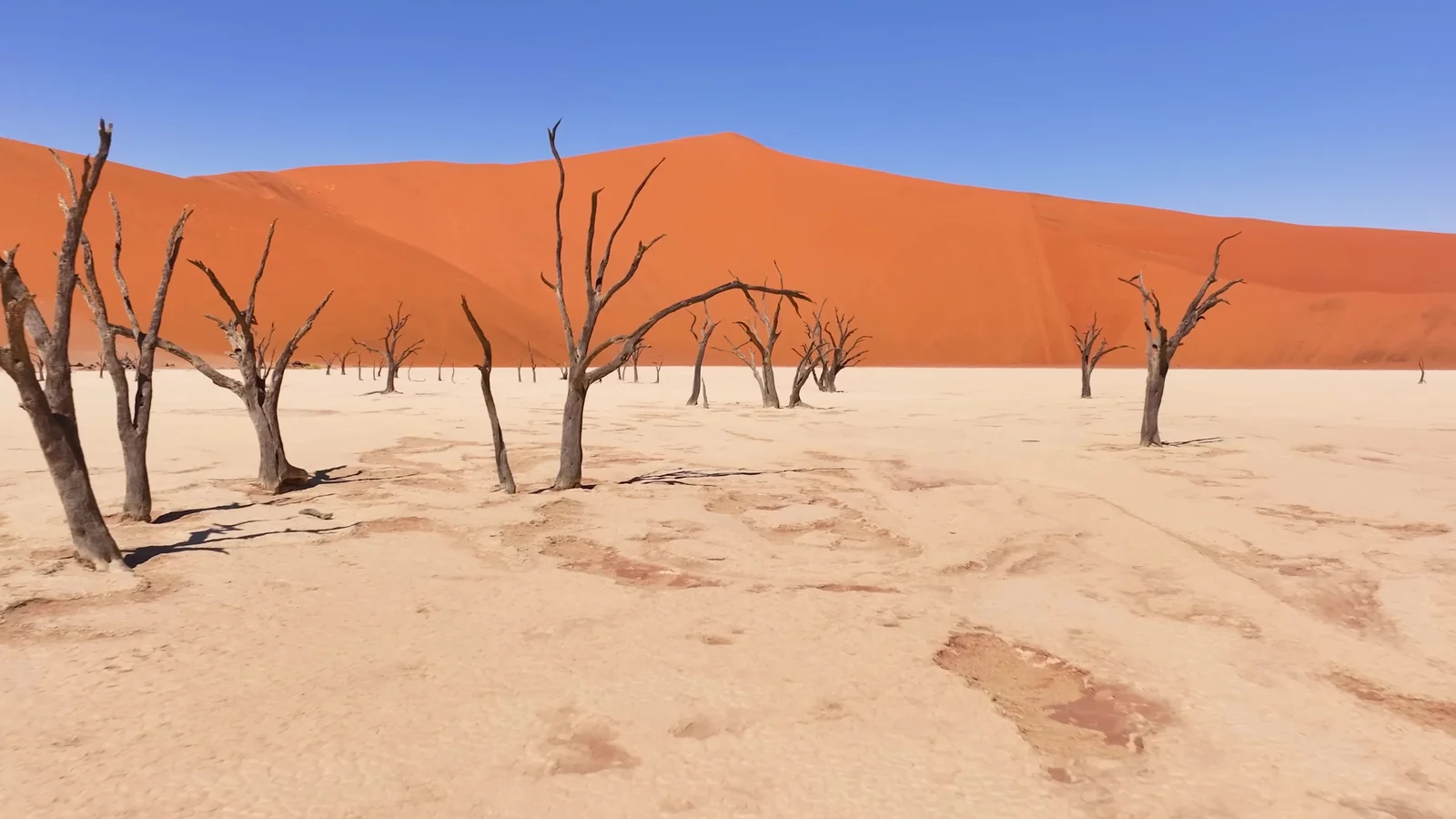 Deadvlei / 静止的阴影